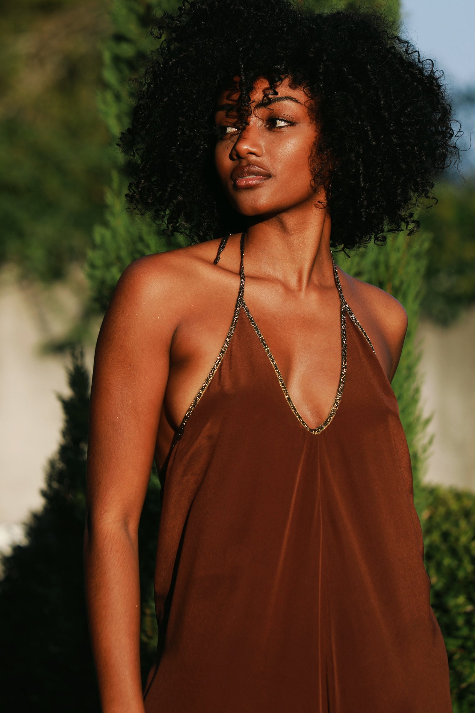 Rhodes Dress in Clove