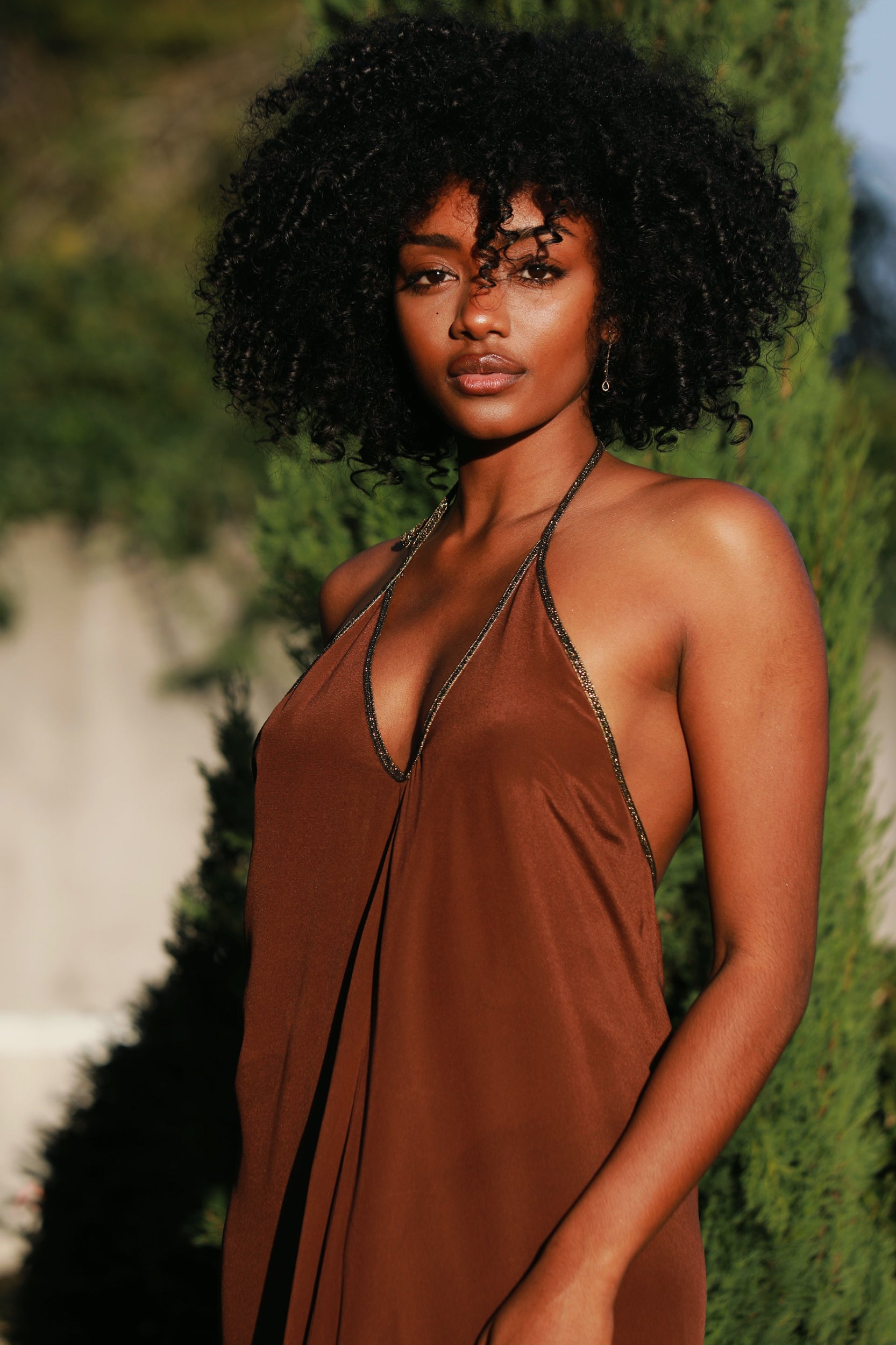 Rhodes Dress in Clove