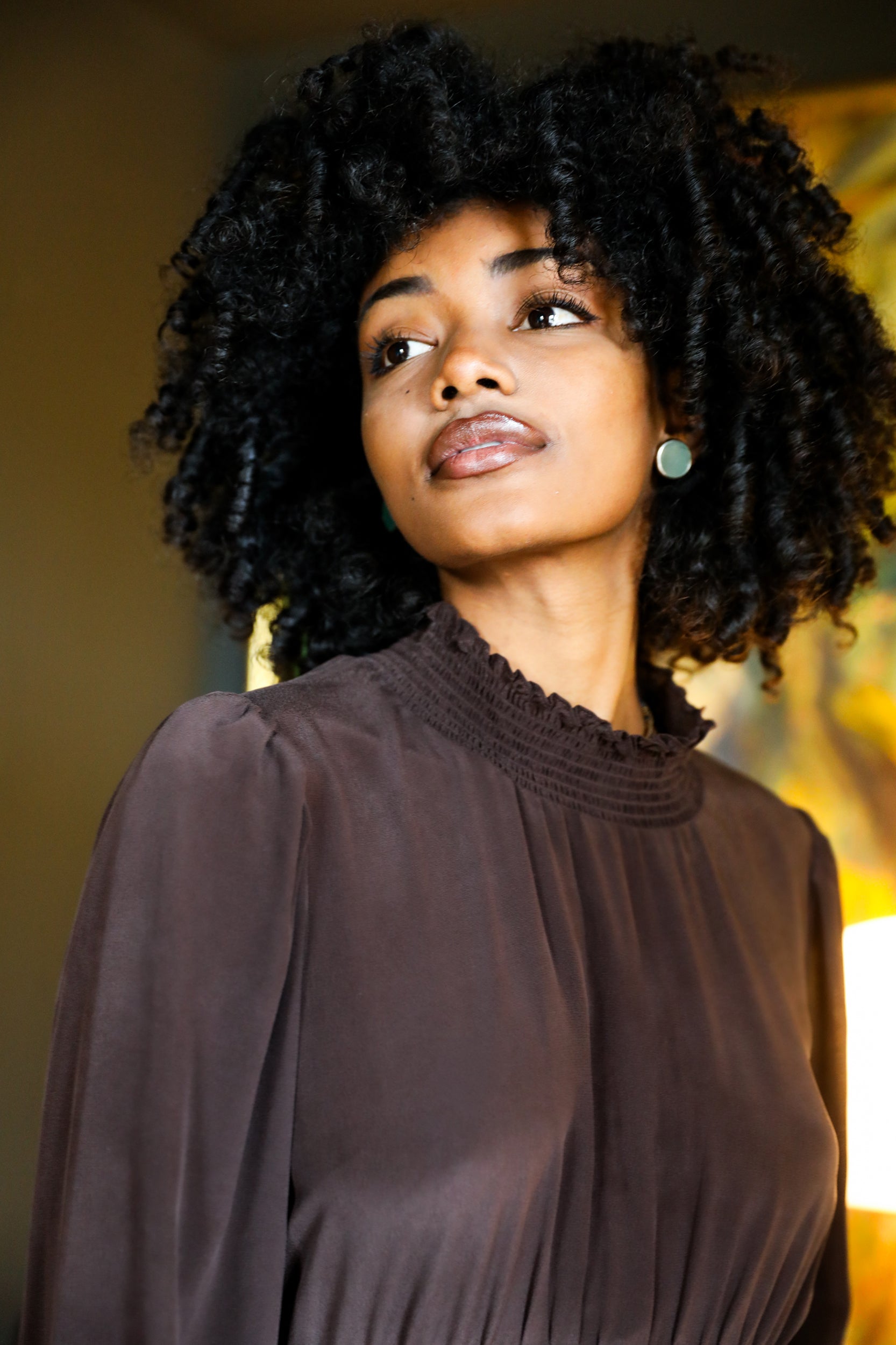 Hemera Dress in Chocolate